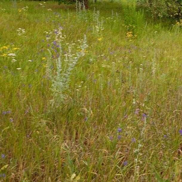 Продам рівний участок правильної форми