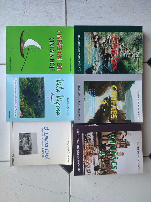 6 livros sobre Cinfães