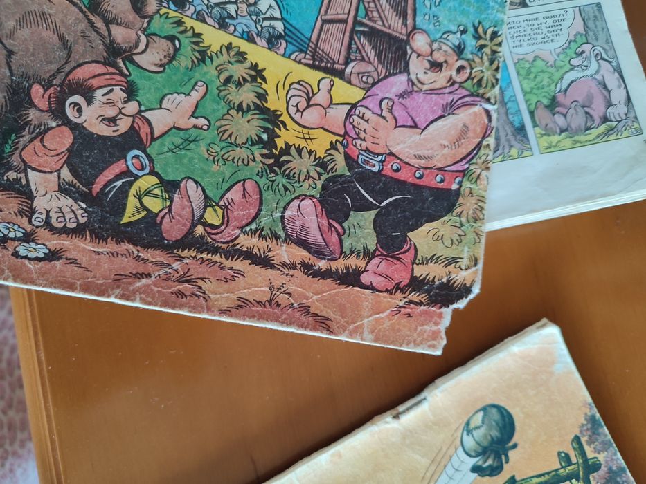 Komiksy Asterix i Kajko i Kokosz