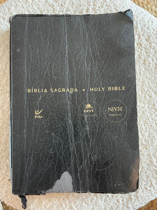 Bíblia Sagrada Bilíngue (Português/Inglês - NVI/NIV)