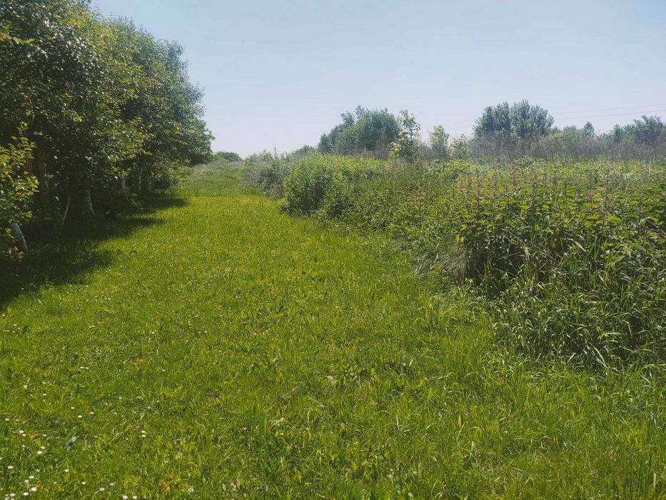 Продаж ділянки в с. Конопниця - ділянка за містом - земельна ділянка