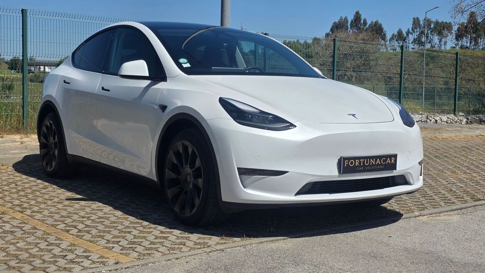 Tesla Model Y Long Range Tração Integral