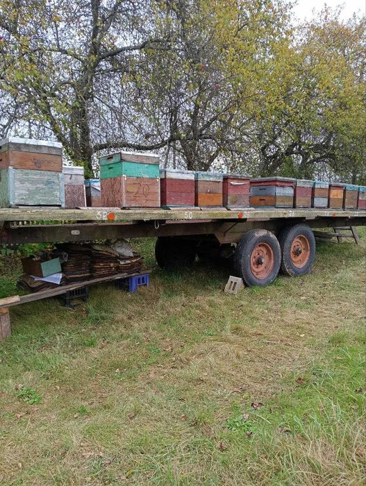 Для ваших бджілок