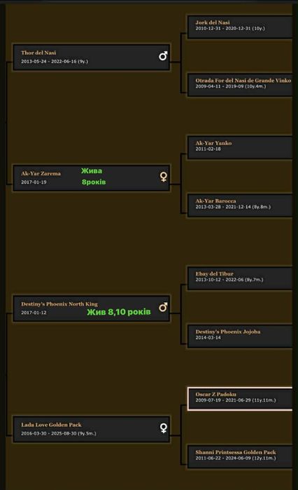 Пропонуємо для вязки кобеля добермана DCM1,2-NN