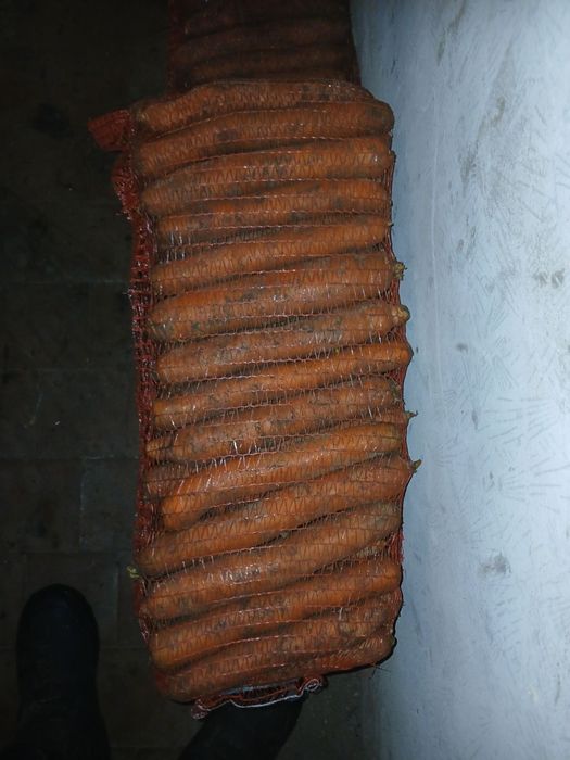 Продам гарну моркву.