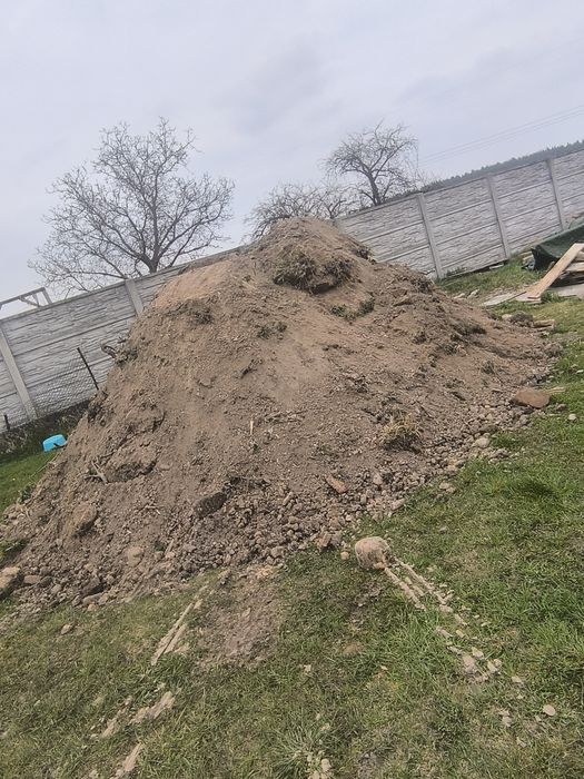Oddam za darmo ziemię