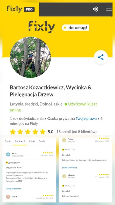 Wycinka i Pielęgnacja drzew