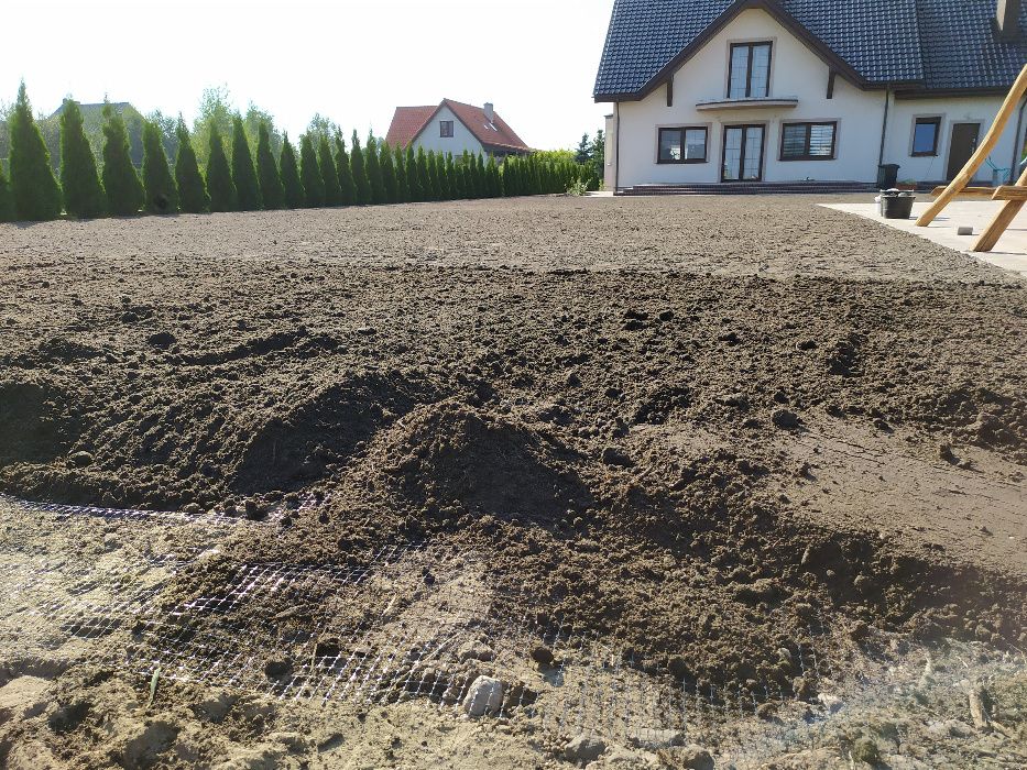 trawnik  siatka na krety  ogród od podstaw