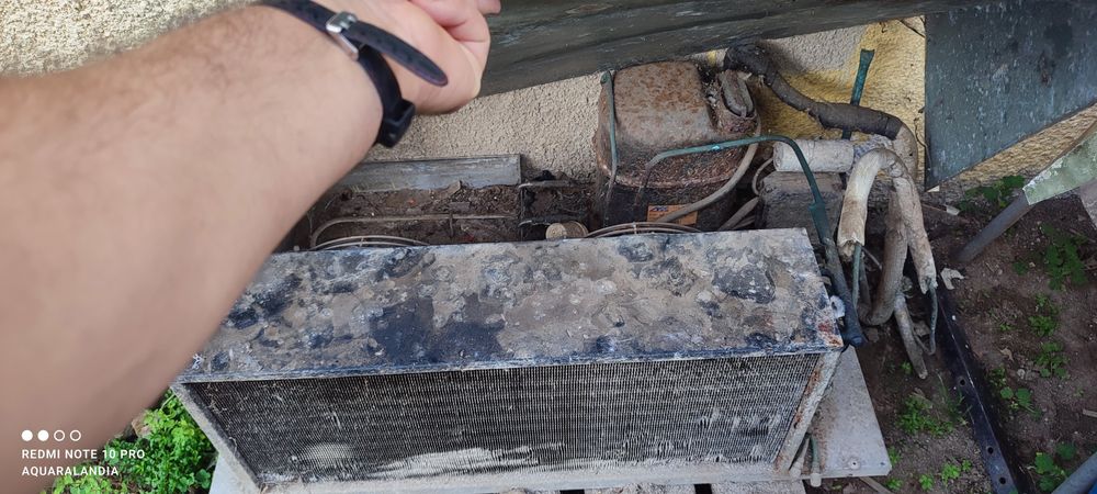 Estante de lacticínios