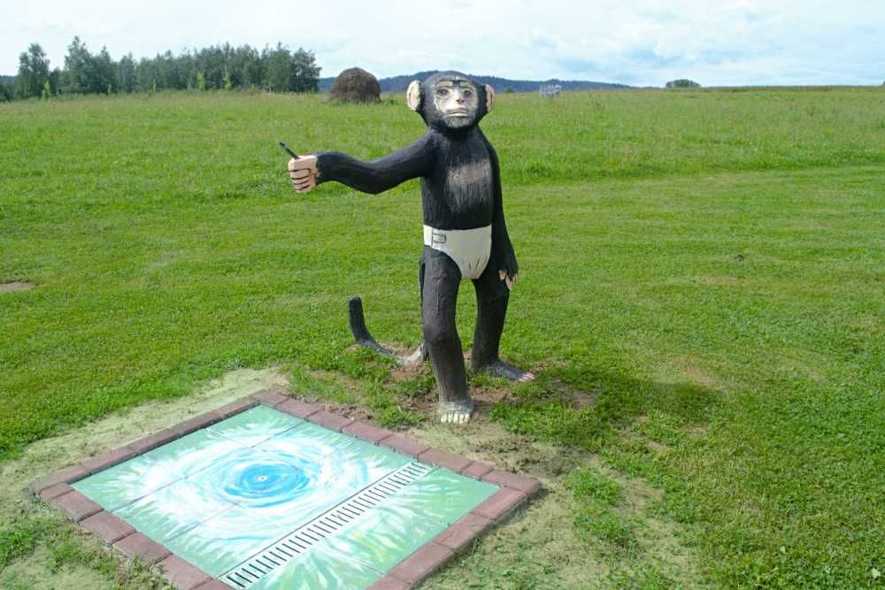 Domek Domki Sauna Ognisty Kocioł SPA  Beczka Alpaki Konie