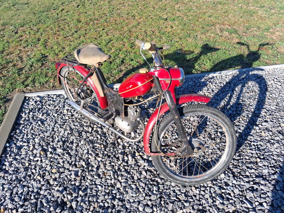 Komar sztywniak 1968