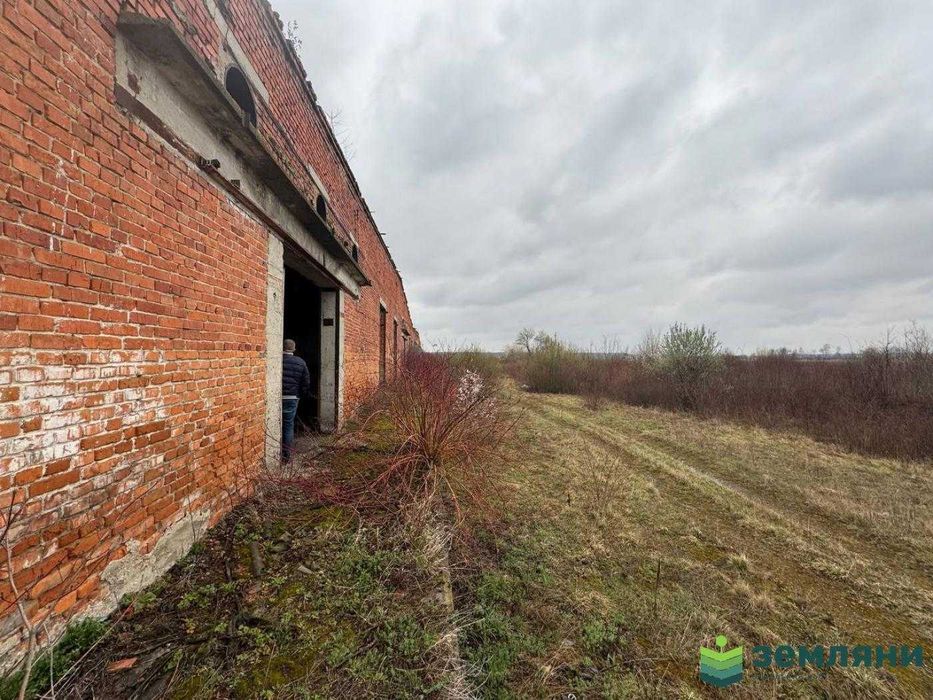 Продається виробничо-складське приміщення в с.Братківці (17)