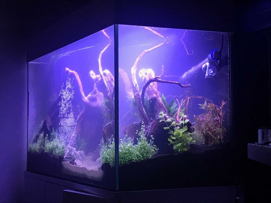 Akwarium 200 litrów + szafka i pokrywa alu biały lakier + osprzęt