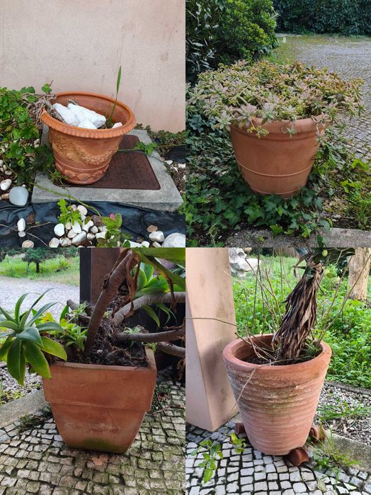 Vasos diversos cerâmica e compósito