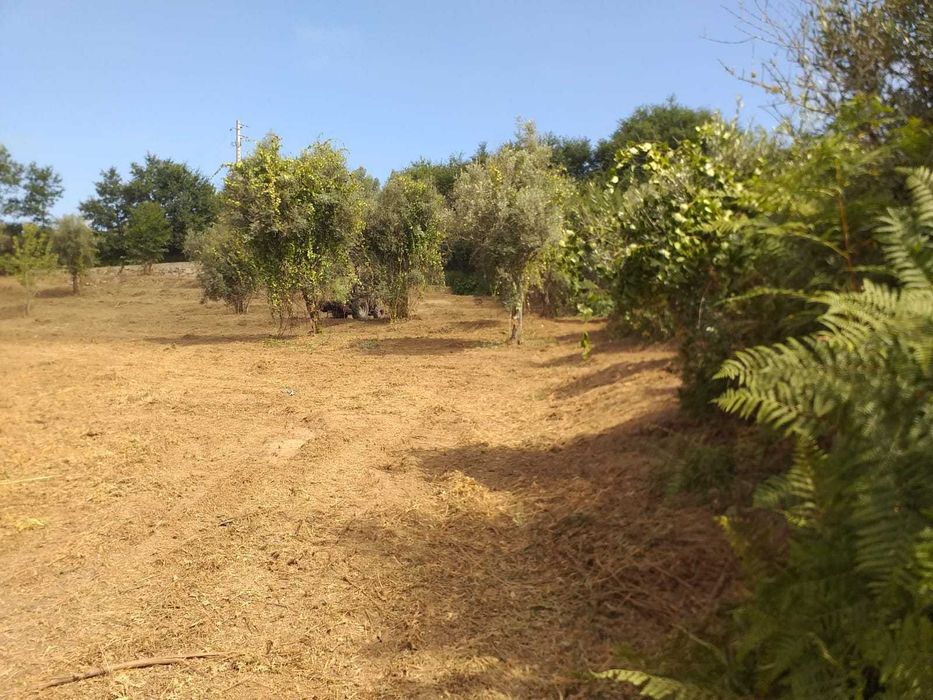 Terreno para construção junto à ecopista do dão