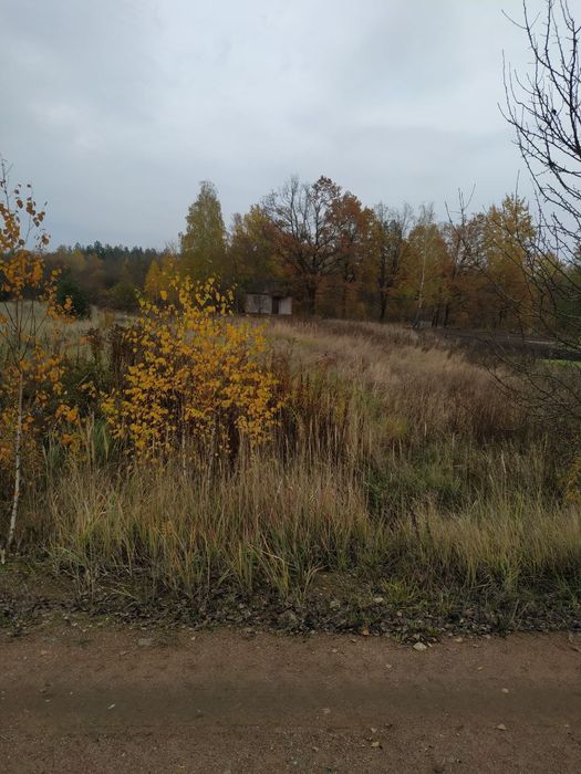 Будинок Нова Борова