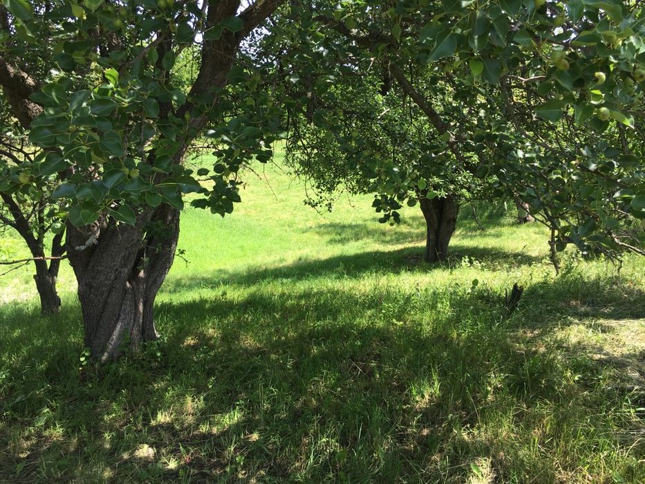 Будинок в селі Буда