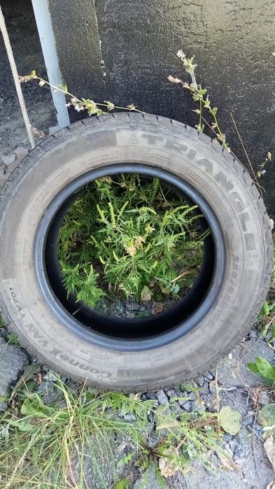 Продам резину triangle conex van 701