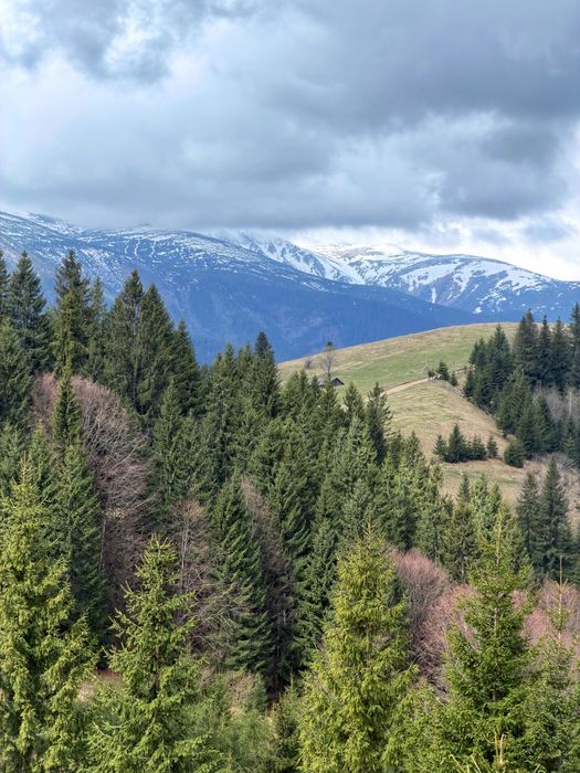 Земельна ділянка в Дземброні