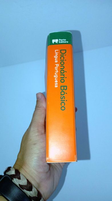 Dicionário Básico Lingua Portuguesa