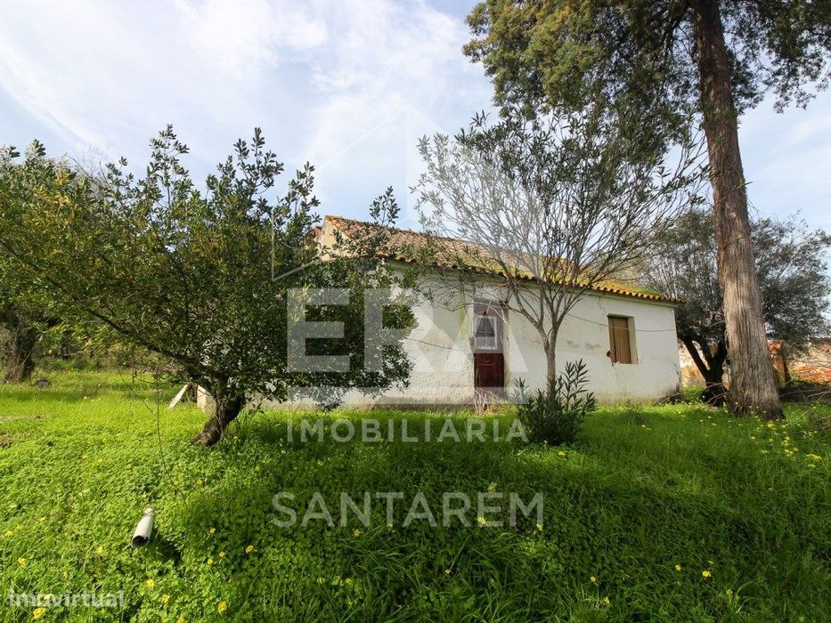 Terreno com cerca de 1 Hectare
