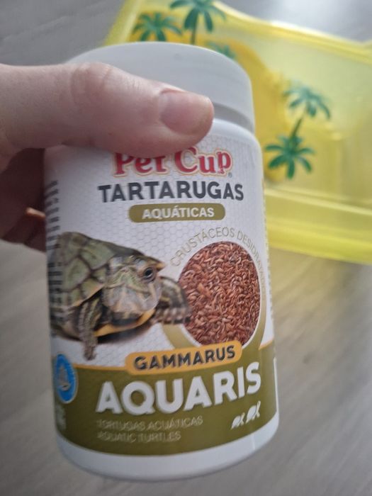 Aquário para tartaruga