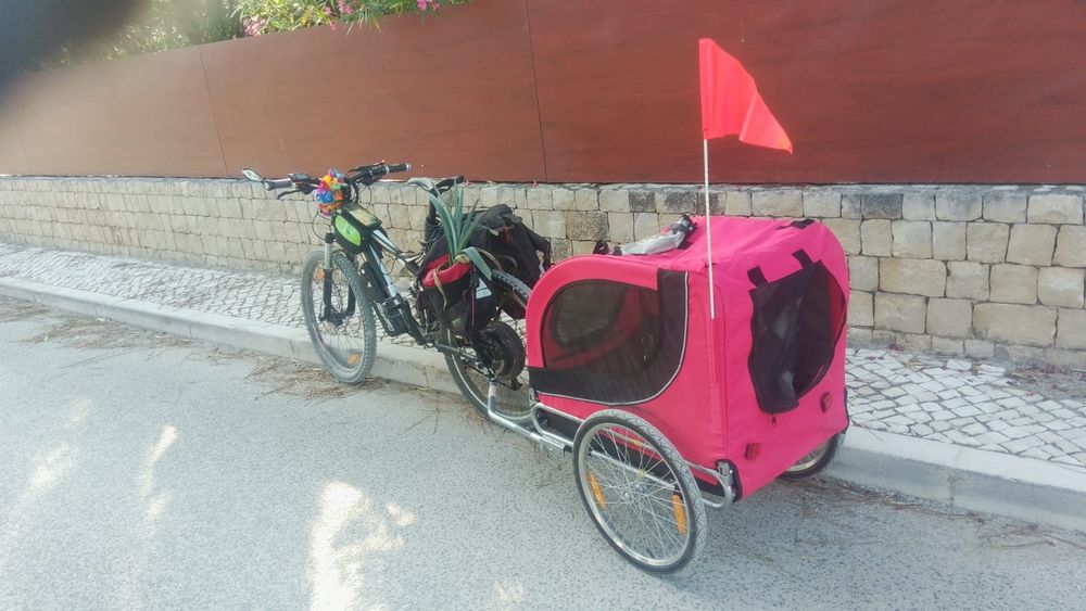 Atrelado bicicleta para cão
