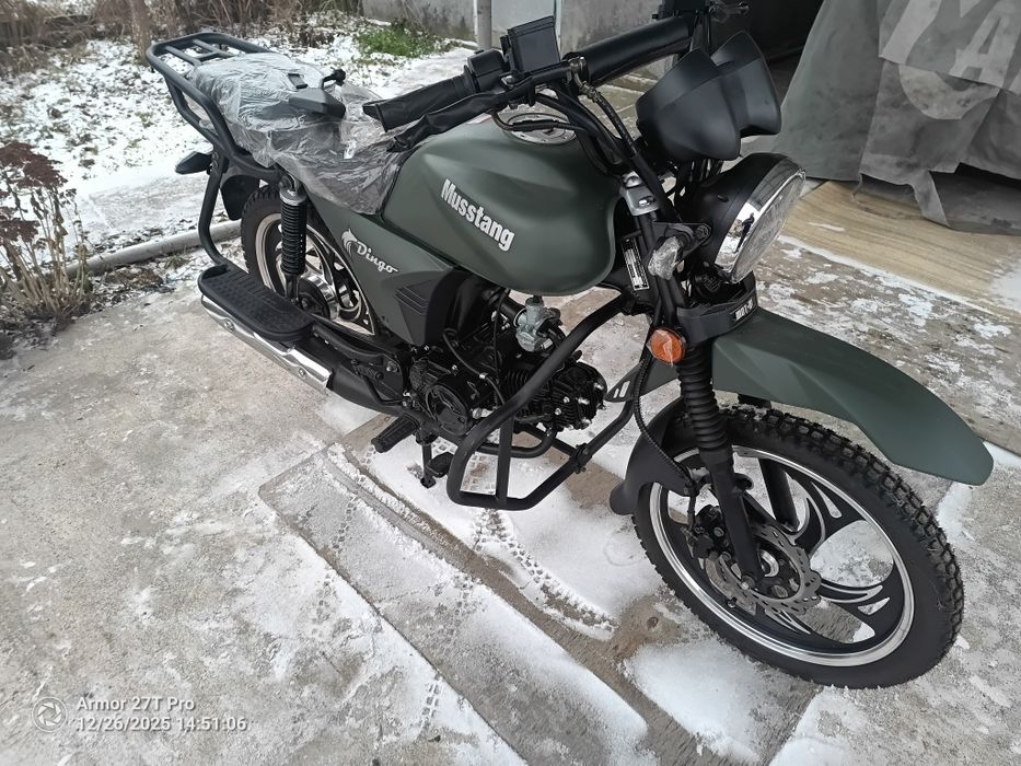 Mustang.MT-125. DINGO.