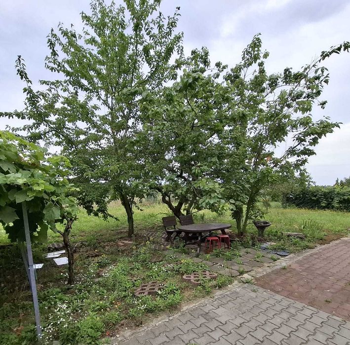 Serwis sprzątający