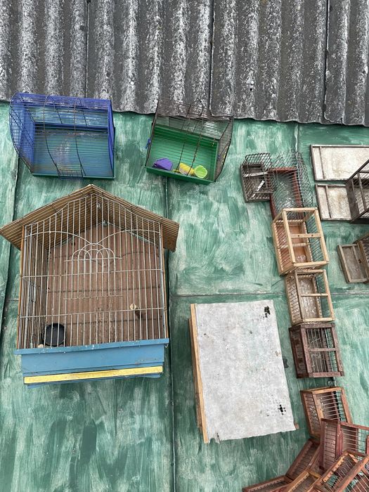Клетки для птиц для грызунов для ловли птиц для канареек западки