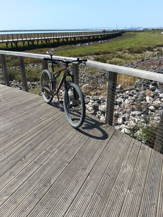 Specialized Chisel fs comp