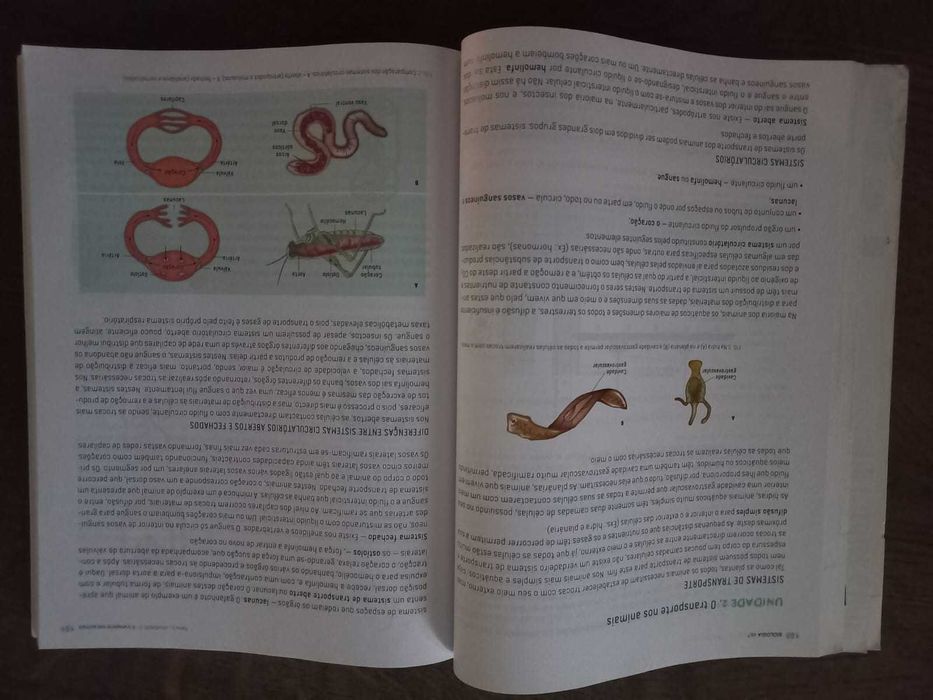 Preparar o exame Nacional Biologia e Geologia