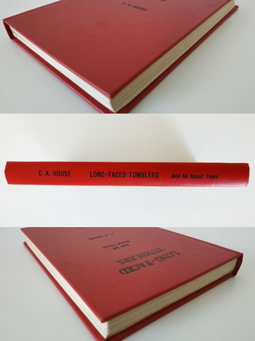 Long Faced Tumblers And all About them, C. A. House 1911 pombos