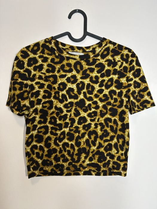 Krótki top w panterkę (Zara)