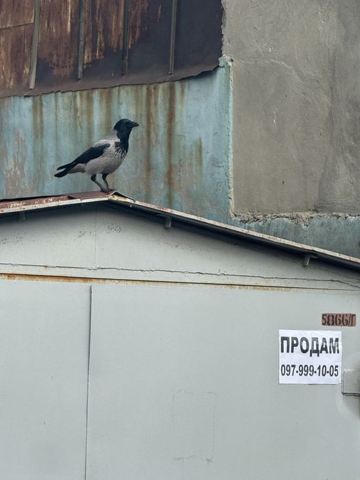 Продам гараж 16м2