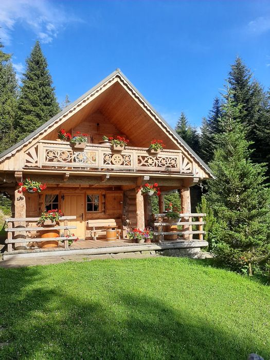Domek w górach leśna bacówka, gorąca balia, ruska bania, domek w lesie