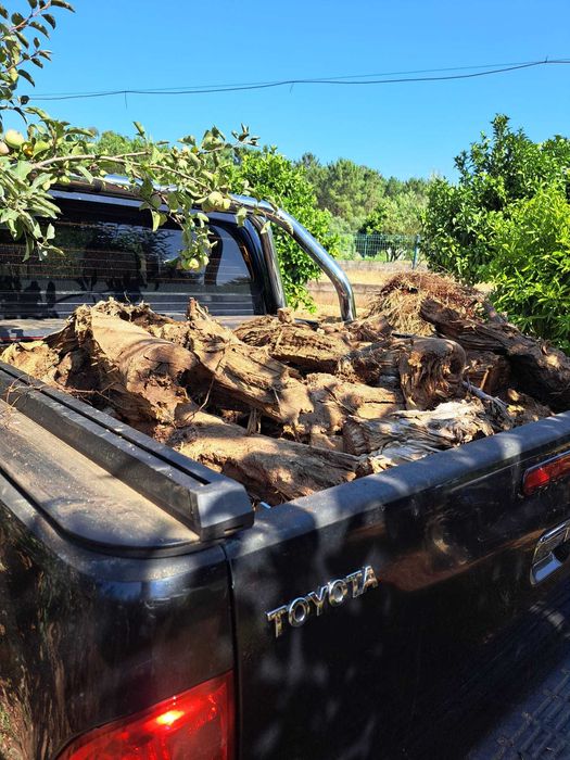 Lenha de Eucalipto Rachada Seca e Pronta a Queimar