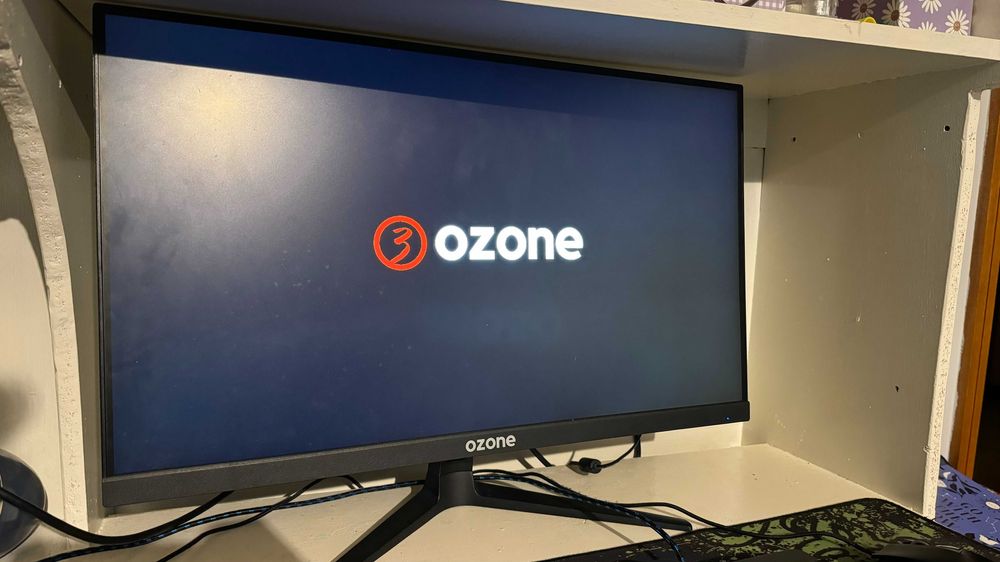Monitor ozone dsp25 FHD 165hz