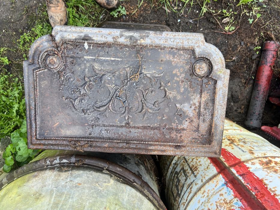 Salamandra em otimo estado