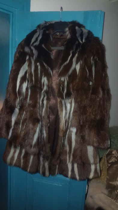 Futro skunksa futro skunksów unikat