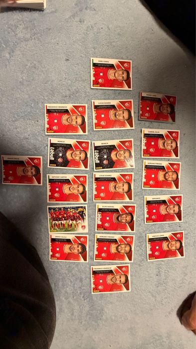 Cromos Liga Bwin edição 2025/2026