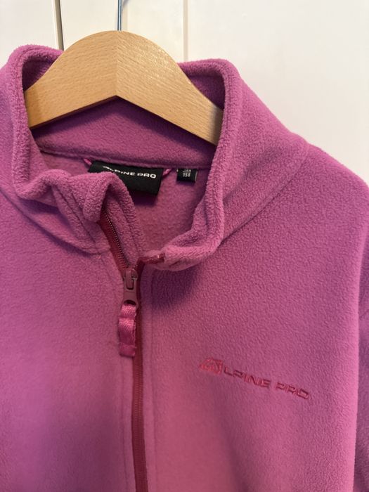 Polar Alpina PRO 152/158