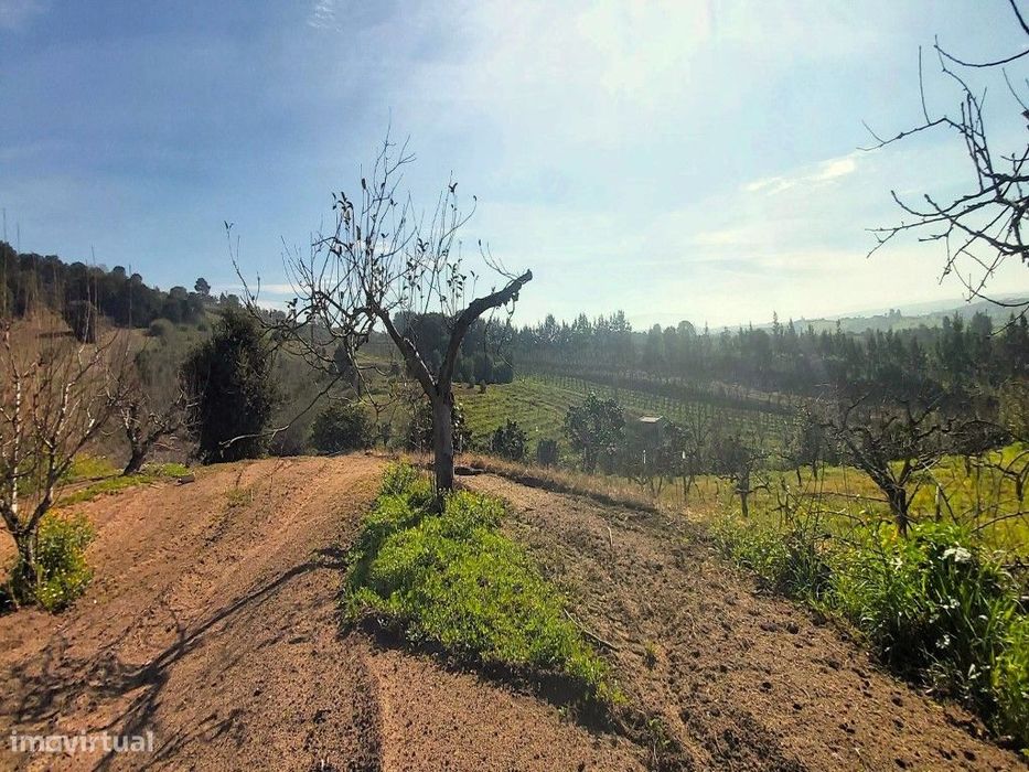 Terreno urbano com 12.560m2, Delgada