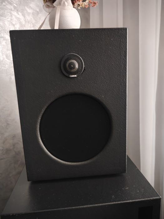 Пассивная акустика (колонки) Canton