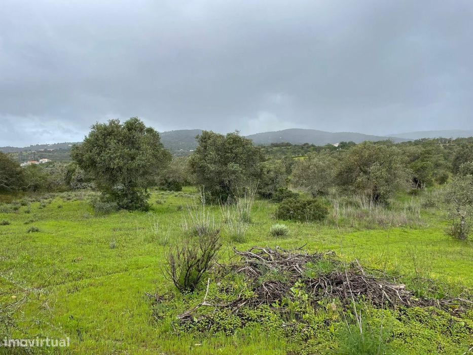 Terreno Rustico em torre Apra- Loule