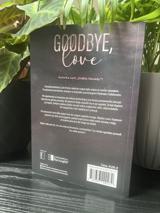 Książka Goodbye love Winter love część 1 Martyna Keller