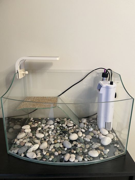 Аквариум для черепахи + лампа + фильтр + термометр с подогревом