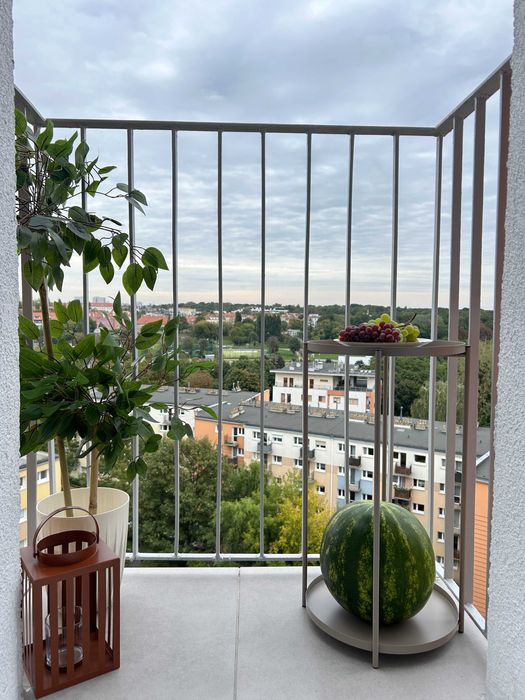 Kawalerka - świetna lokalizacja, idealny stan - najem (Winiary/Sołacz)