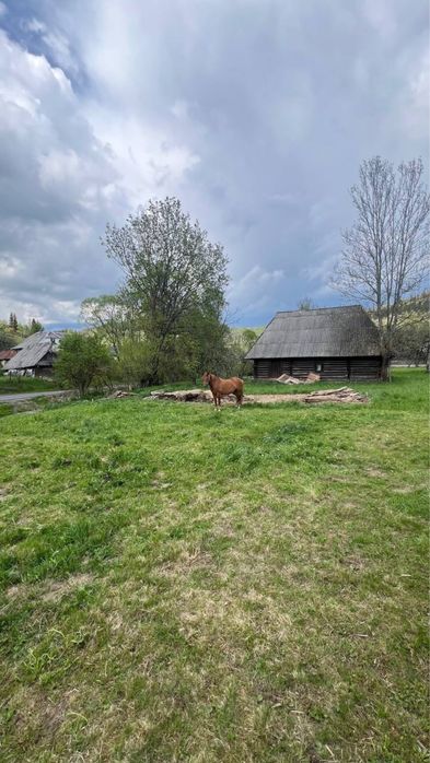 Продається ділянка з будинком у горах Карпати