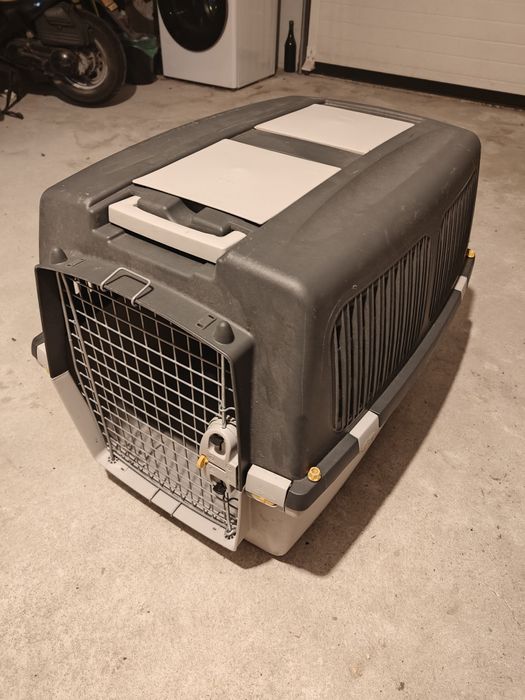 Gulliver 5 Transportador para cães